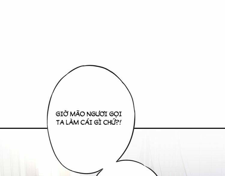 hoa nhan sách chapter 3.1 13