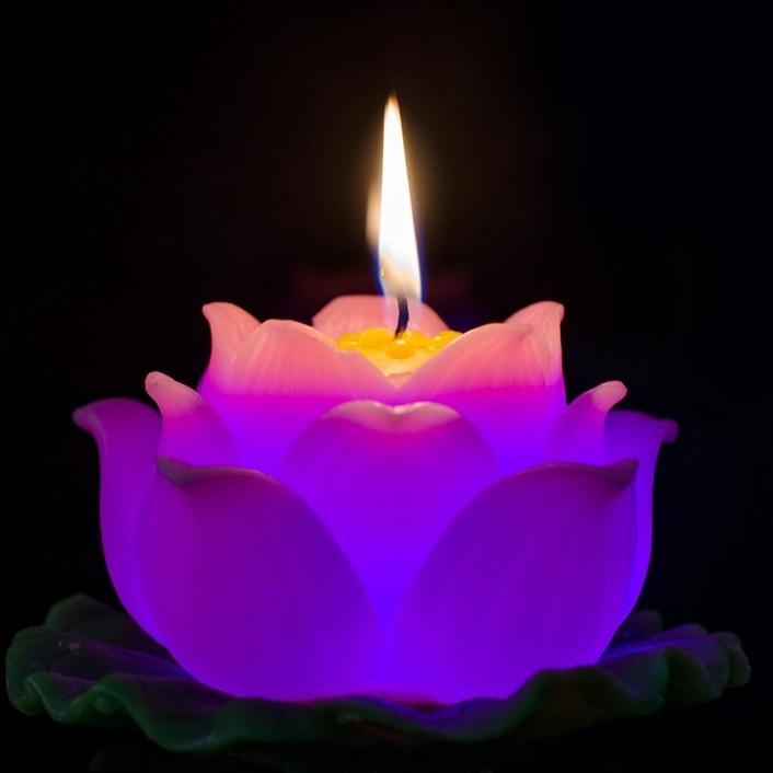Nến hoa sen - có đèn led đổi màu - nến bông sen thờ phật trang trí cao cấp candle shop