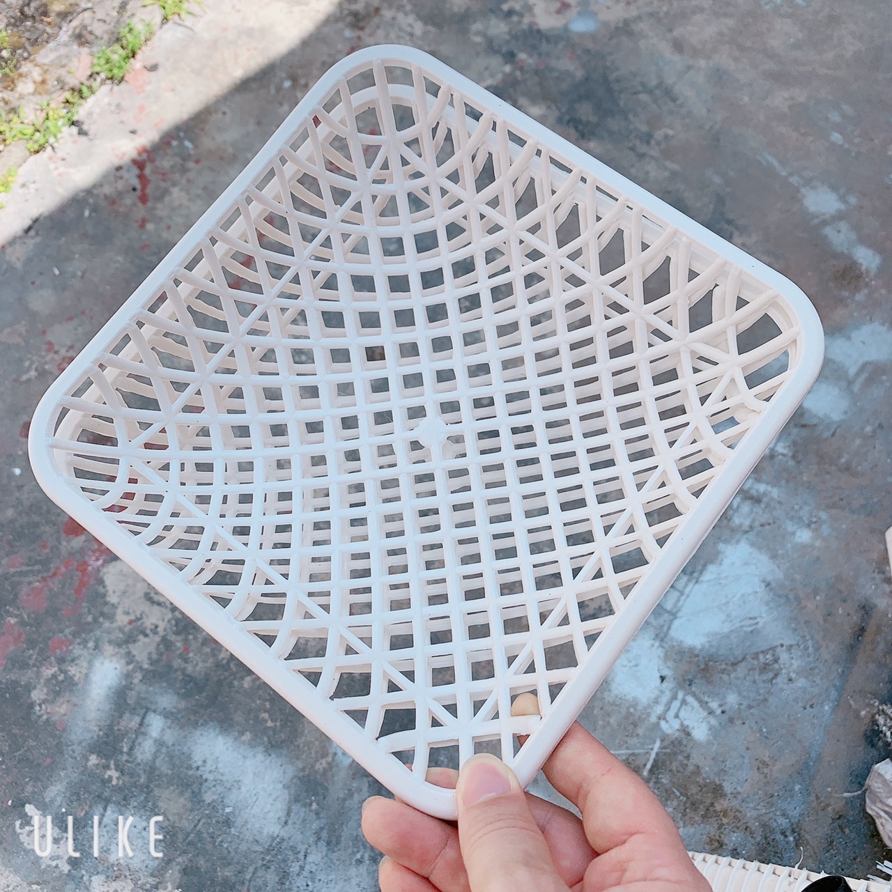 Ổ đẻ cho chim Bồ câu có kèm vanh sắt