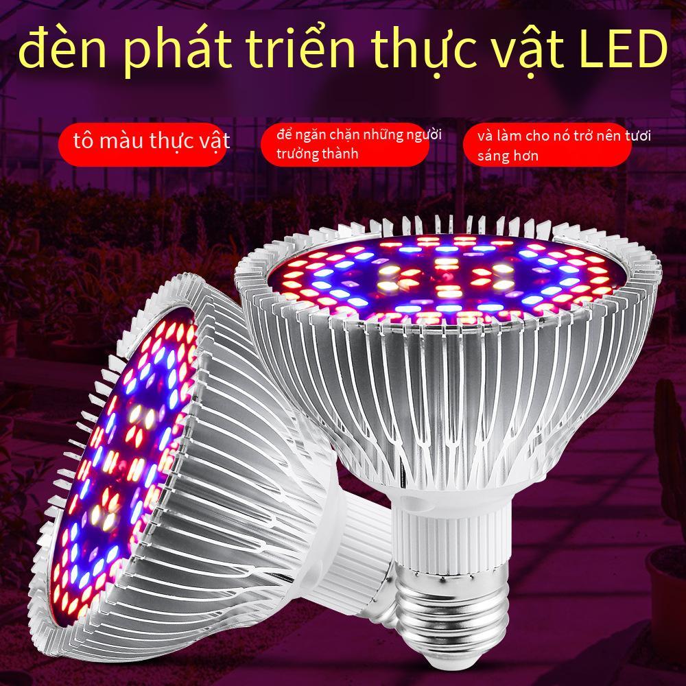 Ưu đãi đặc biệt đèn led tăng trưởng thực vật bán chạy toàn bộ đèn thực vật cốc trong nhà cây giống mọng nước lấp đầy ánh sáng trồng đèn