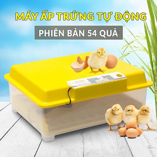 Máy ấp trứng mini A100 54 TRỨNG lắp ráp sẵn tự động hoàn toàn