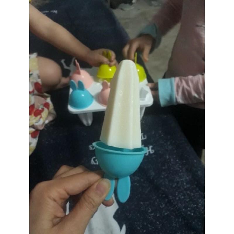 Khuôn làm kem nhựa Việt Nhật