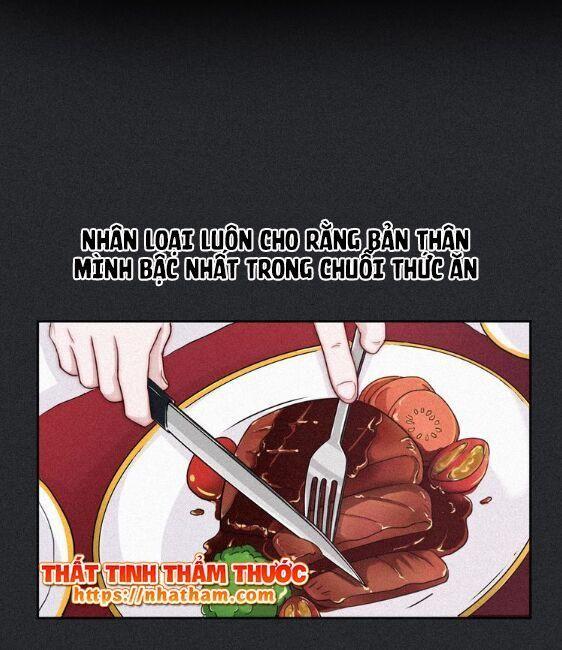 đêm tối chốn này chapter 11 1