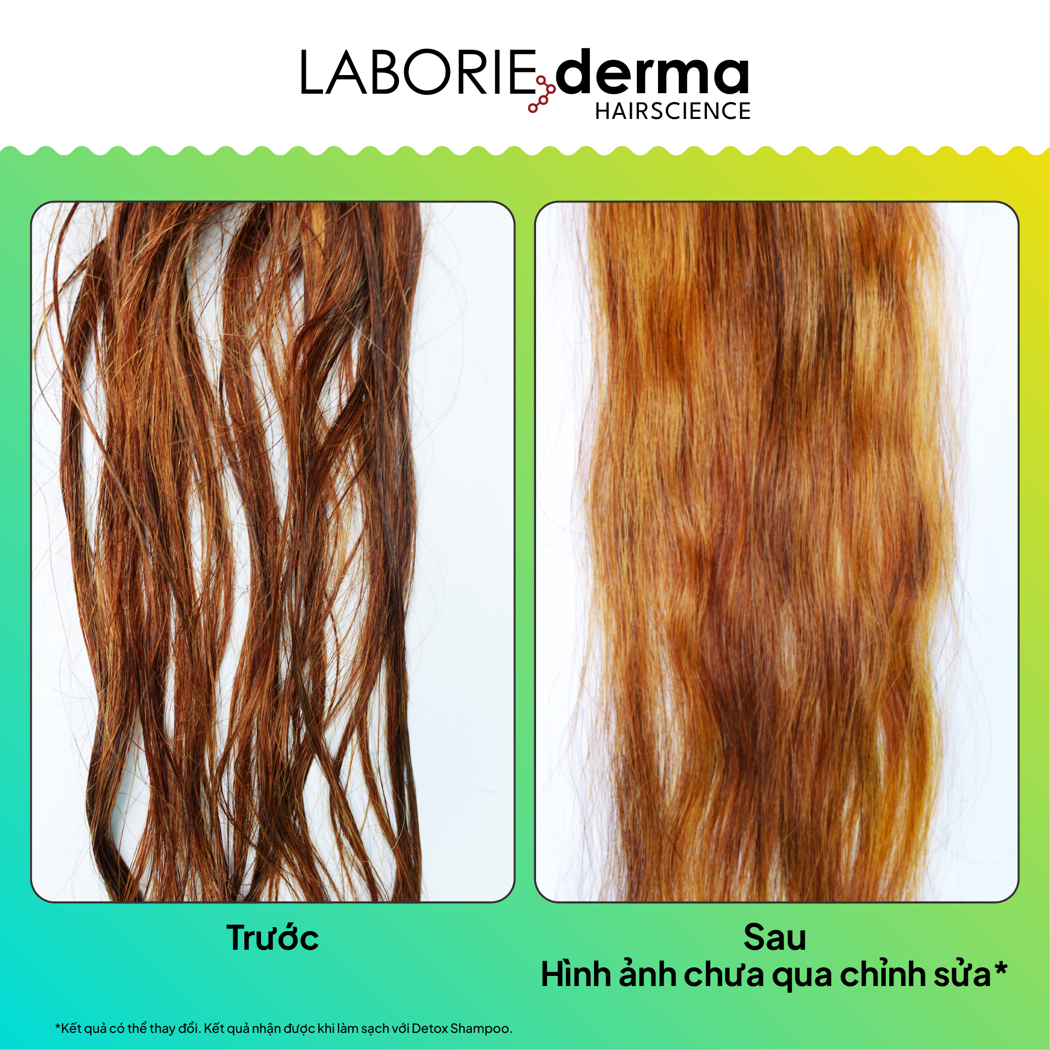 Dầu gội thải độc, loại bỏ tích tụ hoá chất LABORIE derma Detox Shampoo 250ml