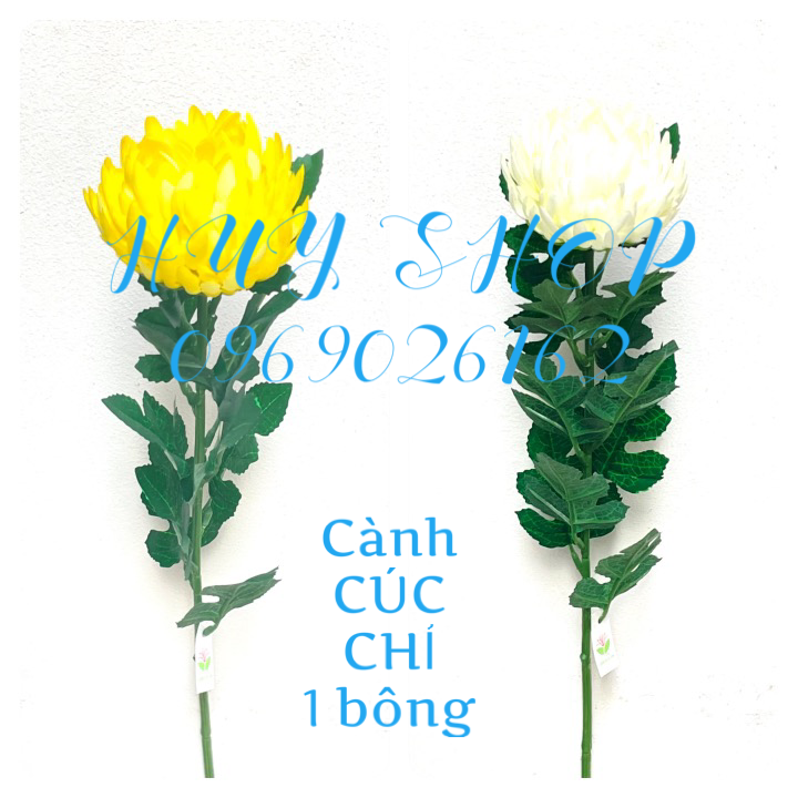 Cành Hoa CÚC CHỈ, Cúc Đại Đóa 1 Bông Vải cao cấp