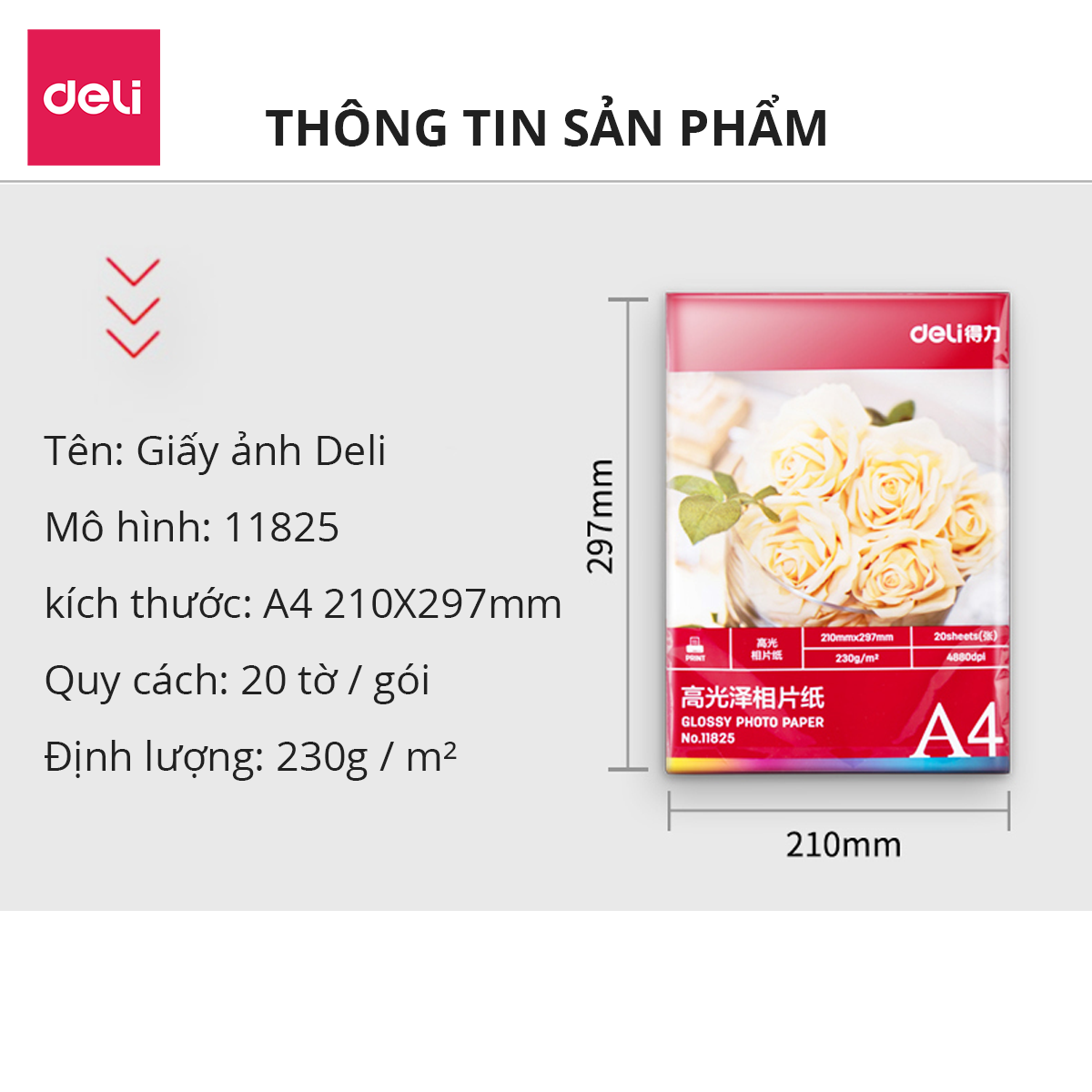 Giấy In Ảnh A4 1 Mặt Bóng (Glossy) 20 Tờ Định Lượng 230Gsm Deli - 11825