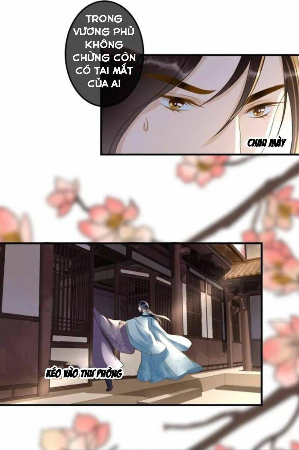 sủng phi của vương chapter 123.5 17