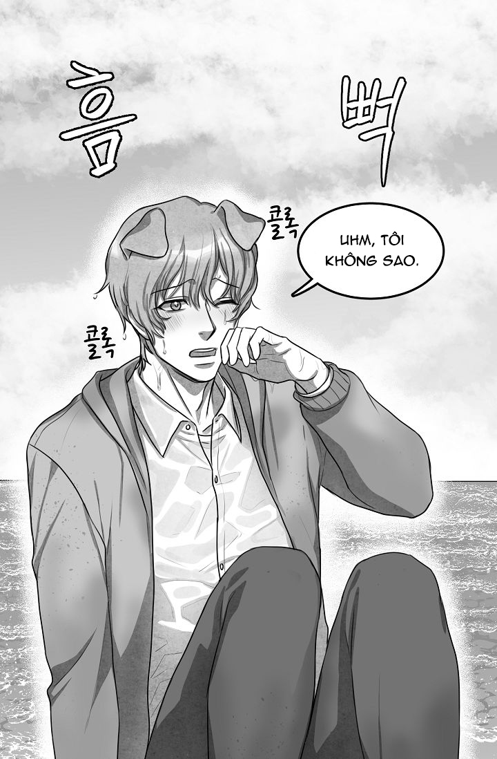 khi cún biết yêu chapter 5 4