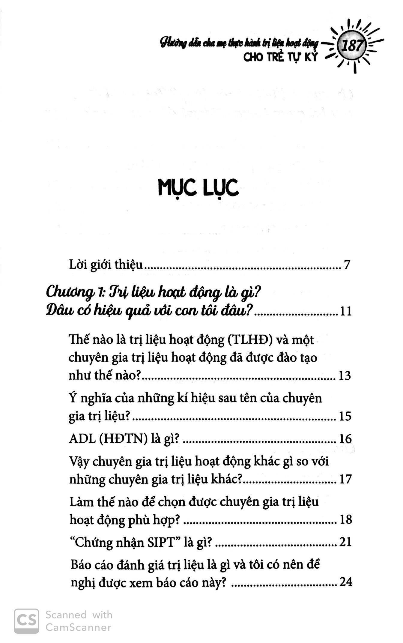 Hướng Dẫn Cha Mẹ Thực Hành Trị Liệu Hoạt Động Cho Trẻ Tự Kỷ