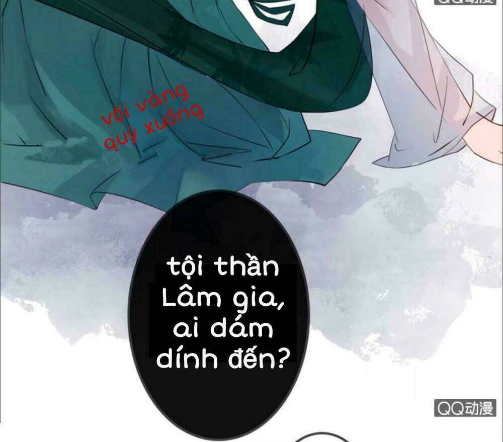 sủng phi của vương chapter 4 21