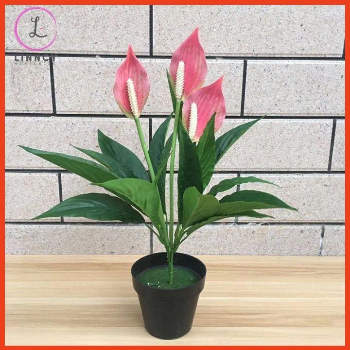 Chậu Hoa Để Bàn Bình Hoa Lan Ý Sang Trọng Cao 47cm Trang Trí Phòng Khách Cửa Hàng Văn Phòng