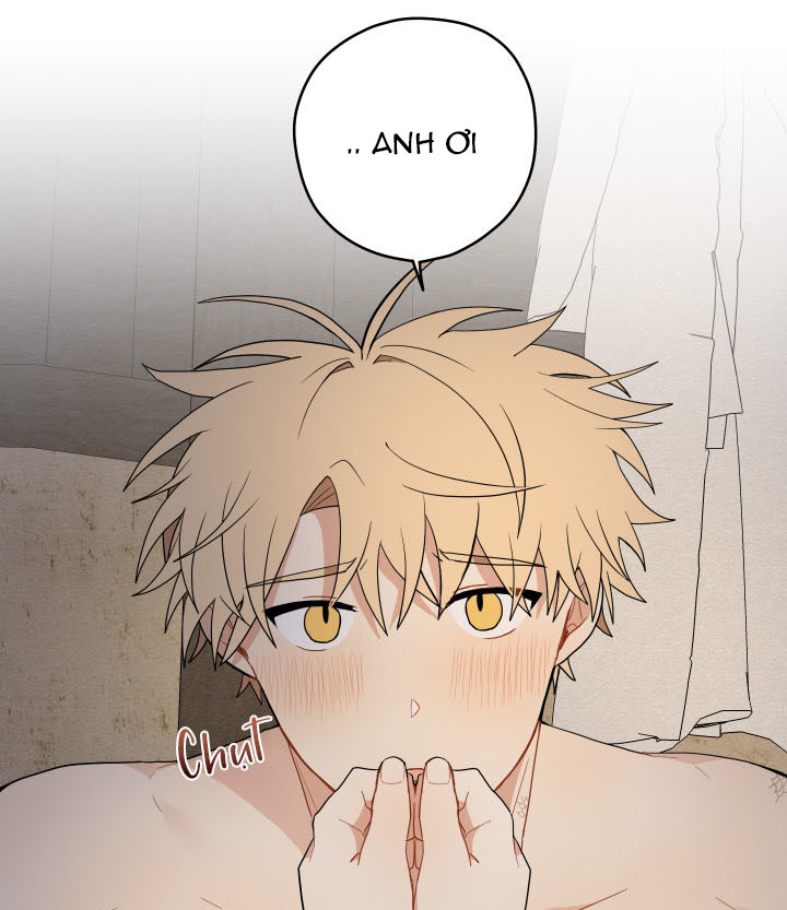 đường hoa liên kiều rơi chapter 17 13