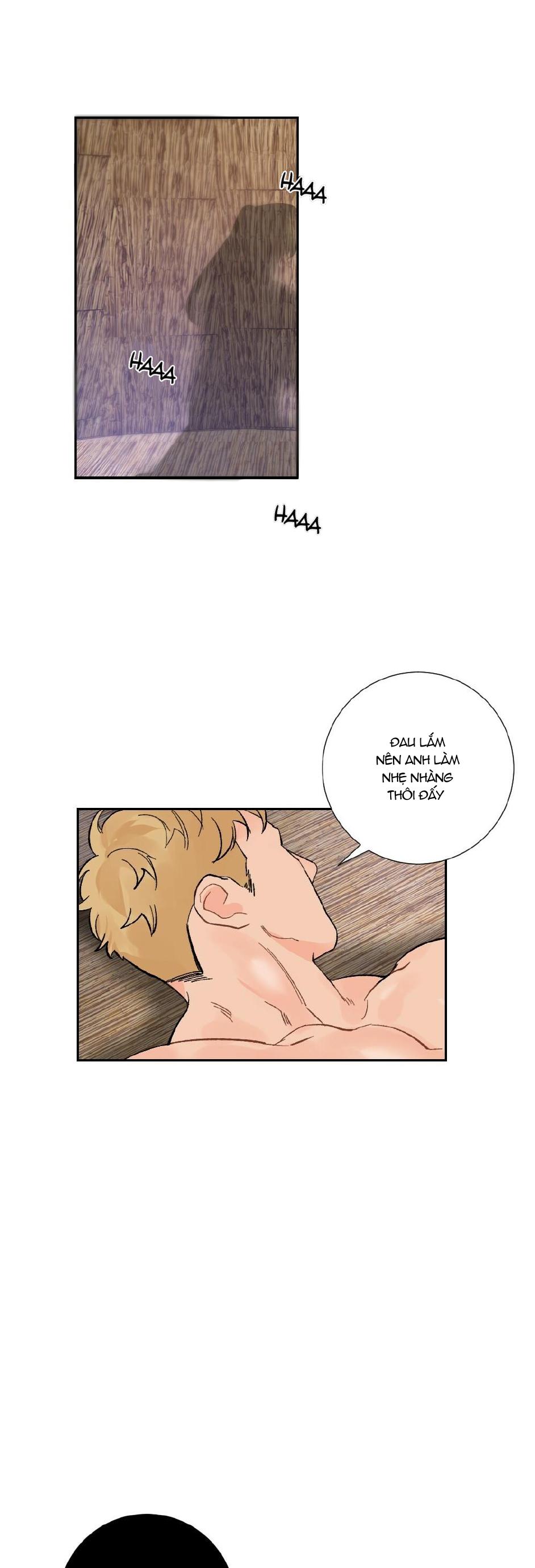 chăm sóc chapter 6 36