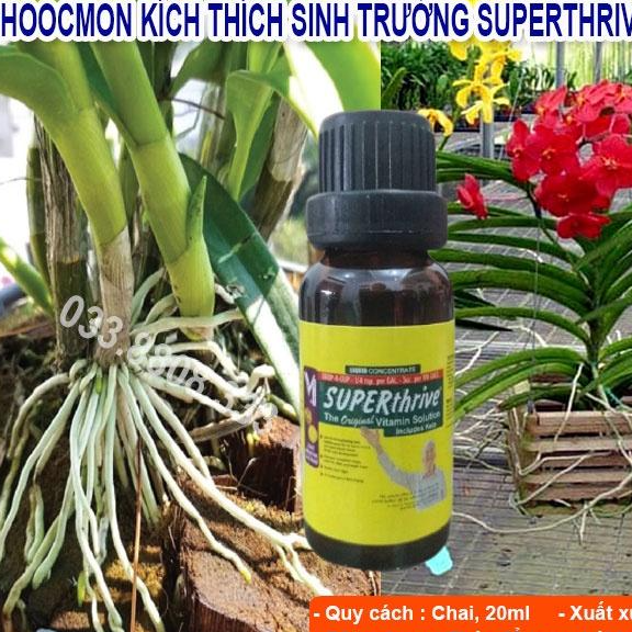 SUPER THRIVE 20ml - Kích Thích Sinh Trưởng Chuyên Dùng Cho Hoa Lan