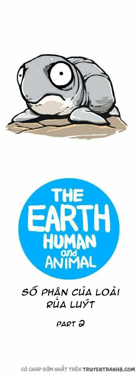 earth, human, and animal chapter 17 6
