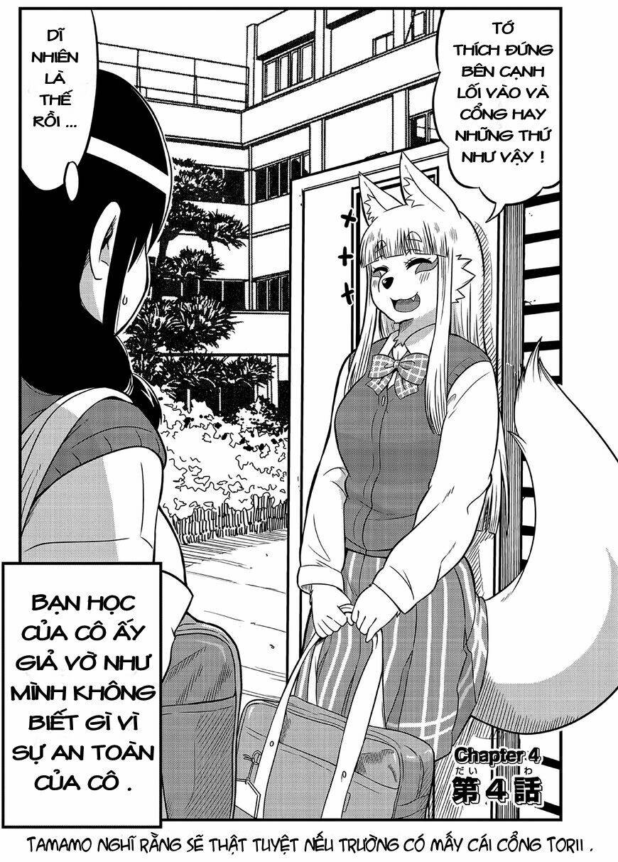high school inari tamamo-chan ! chapter 4 3