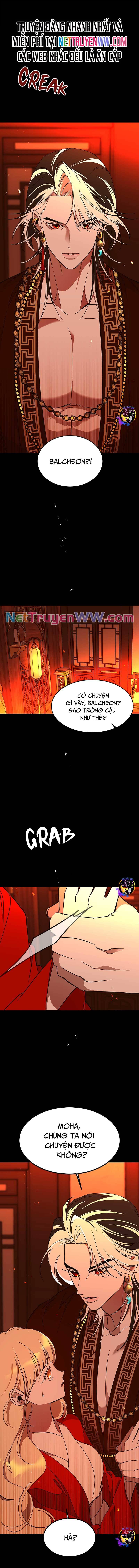 chiến lược săn hổ của nữ thần chapter 57 1