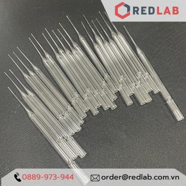 COMBO 20, 50, 100 Pipetpaster thủy tinh 15cm