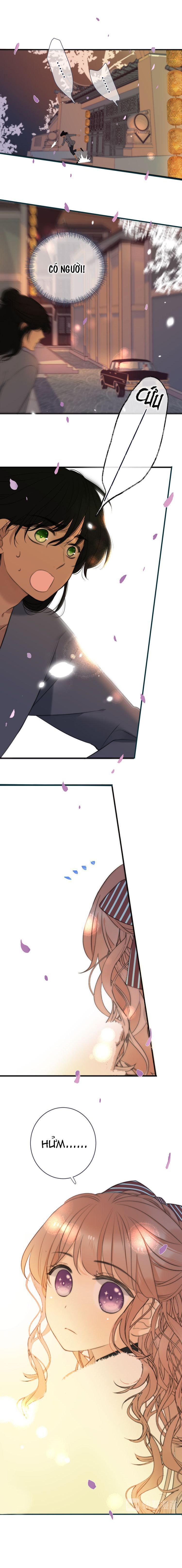 lại gặp nhau rồi, lâu tiểu thư chapter 7 1