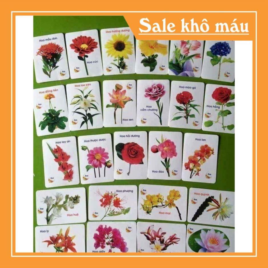 { kho sỉ } bộ thẻ học thông minh 16 chủ đề tiếng anh và tiếng việt cho bé.