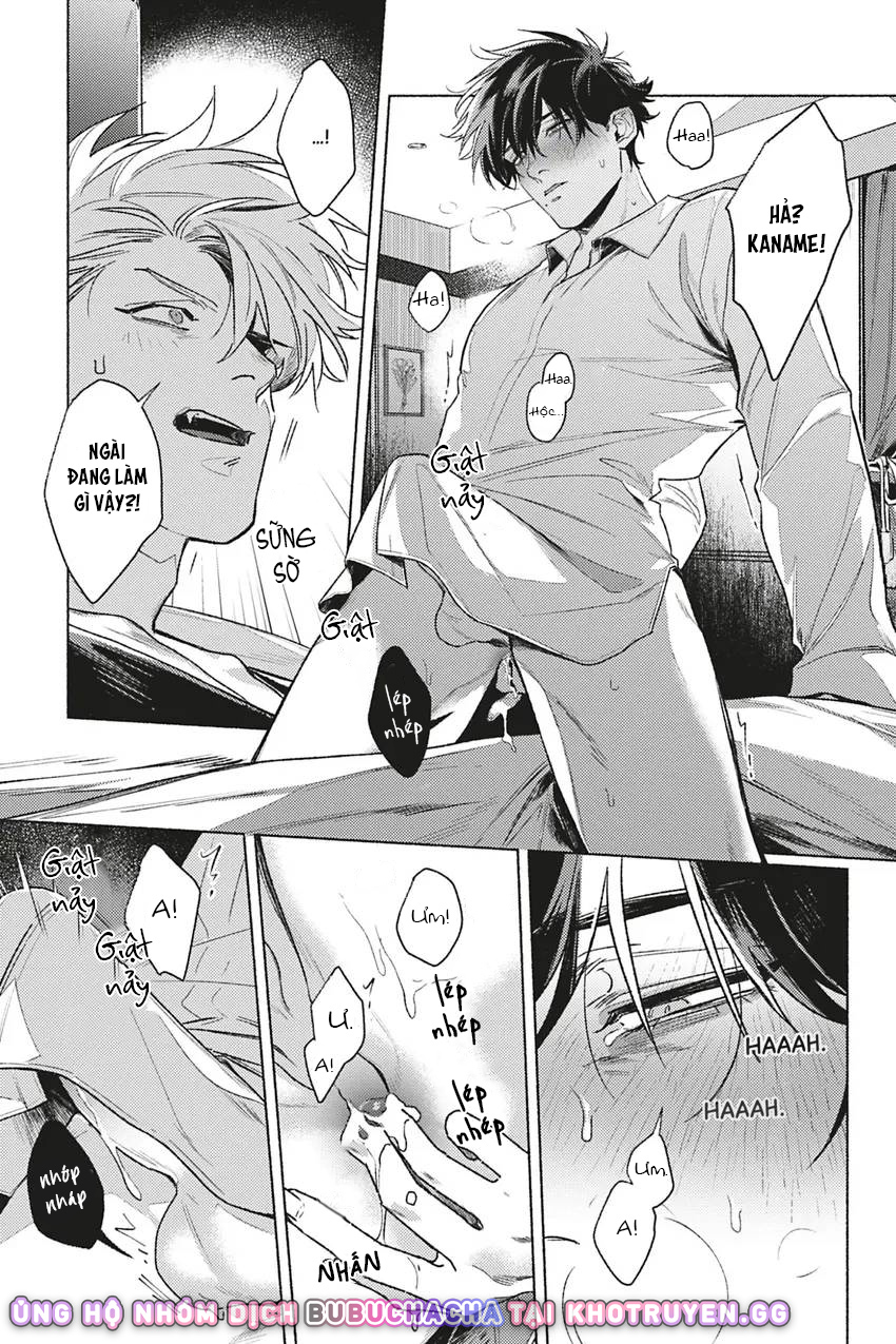 dòng máu bạch kim chapter 4 19