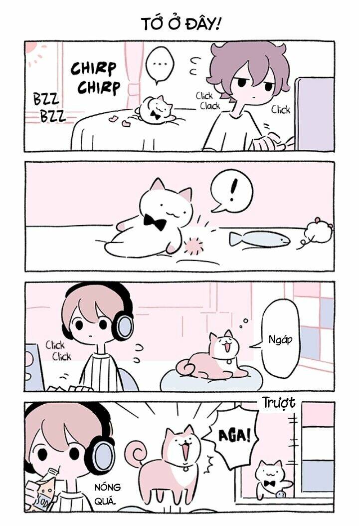 chú mèo kỳ diệu kyuu-chan chapter 702 3