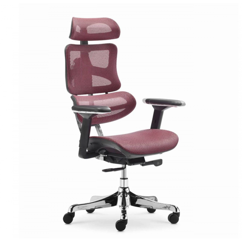 Ghế Làm Việc Công Thái Học - Ergonomics Ngả Lưng Thư Giãn AMA-CM-B137A