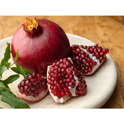 CÂY GIỐNG LỰU ĐỎ KHÔNG HẠT