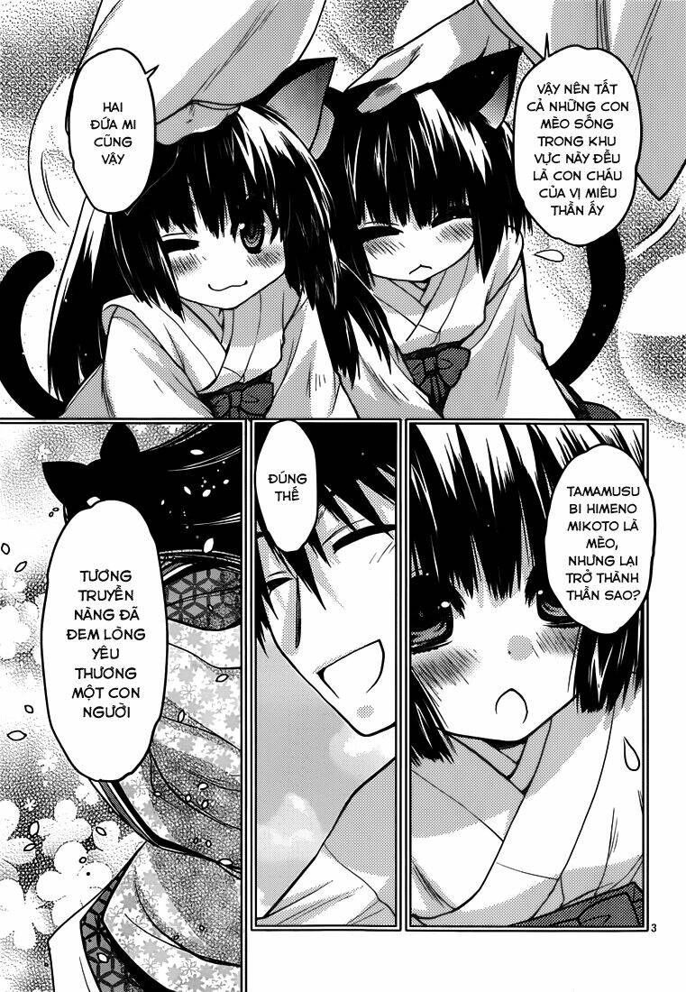 tamanyan chapter 5 4