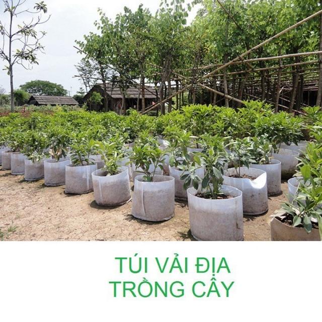 Túi vải trồng cây 2 quai xách kích thước 30x30cm - Set 1 Cái
