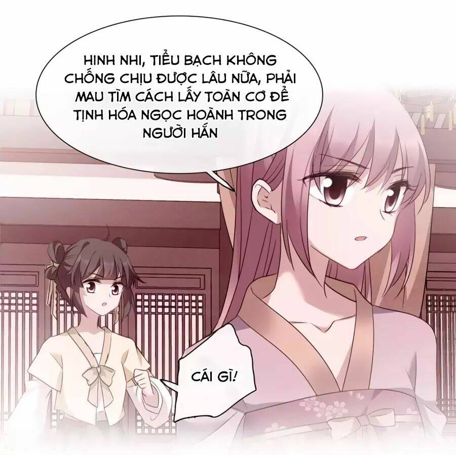 toàn cơ từ chapter 51.2 36