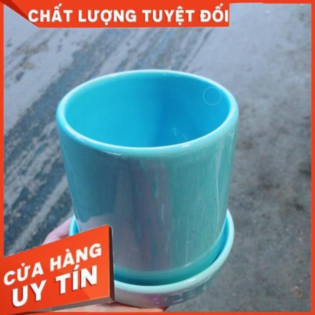 Chậu Trồng Cây