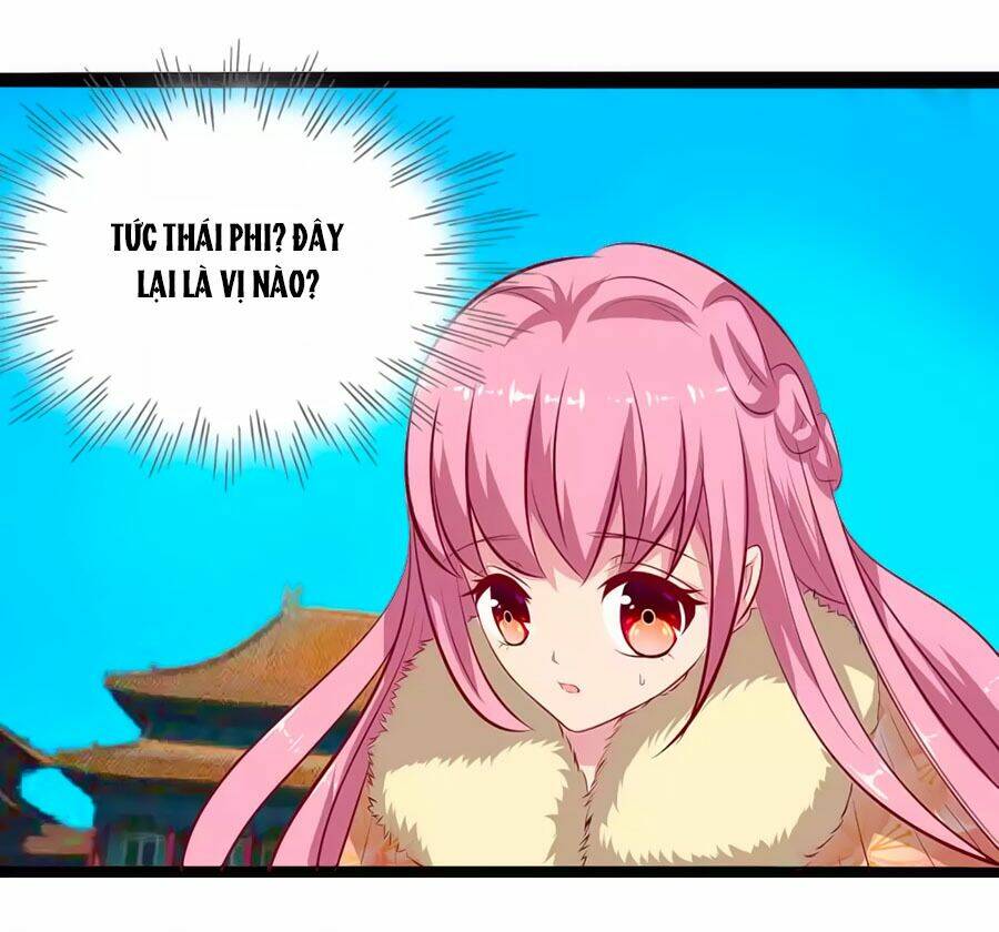 thỏ yêu tiểu vương phi chapter 67 31