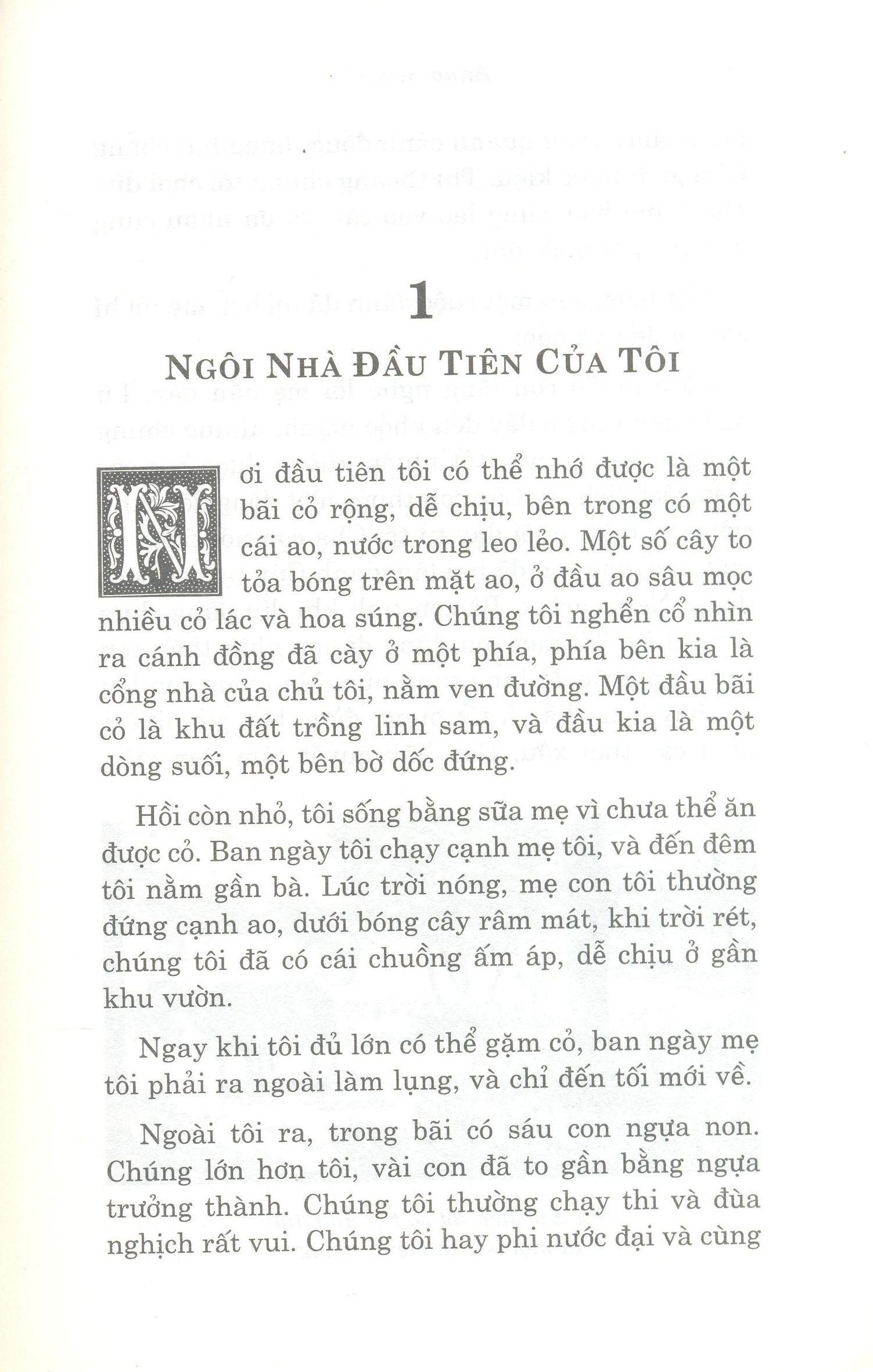 Ngựa Ô Yêu Dấu (Tái Bản)