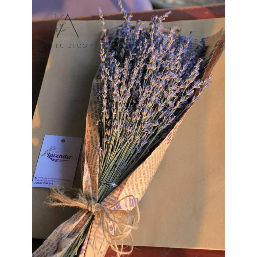 LAVENDERHoa Oải Hương Khô