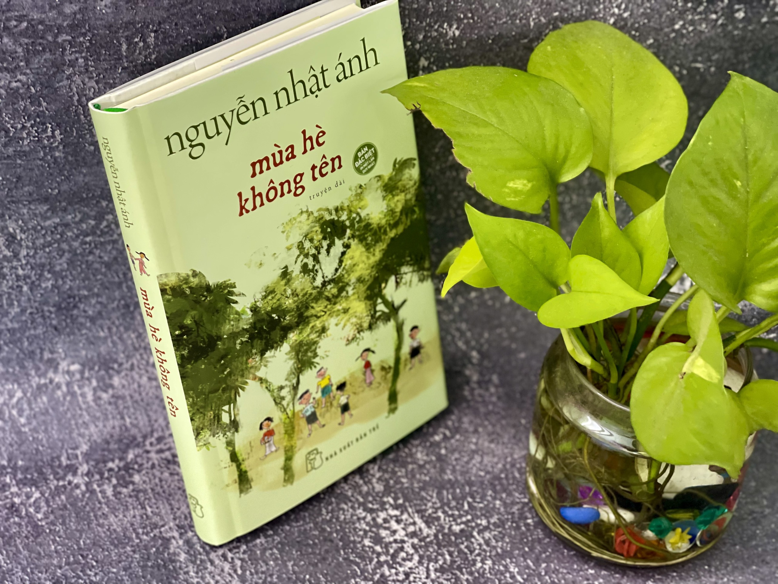 Hình ảnh Sách mùa hè không tên - bìa cứng - Nguyễn Nhật Ánh ( tặng bookmark ) NXBT