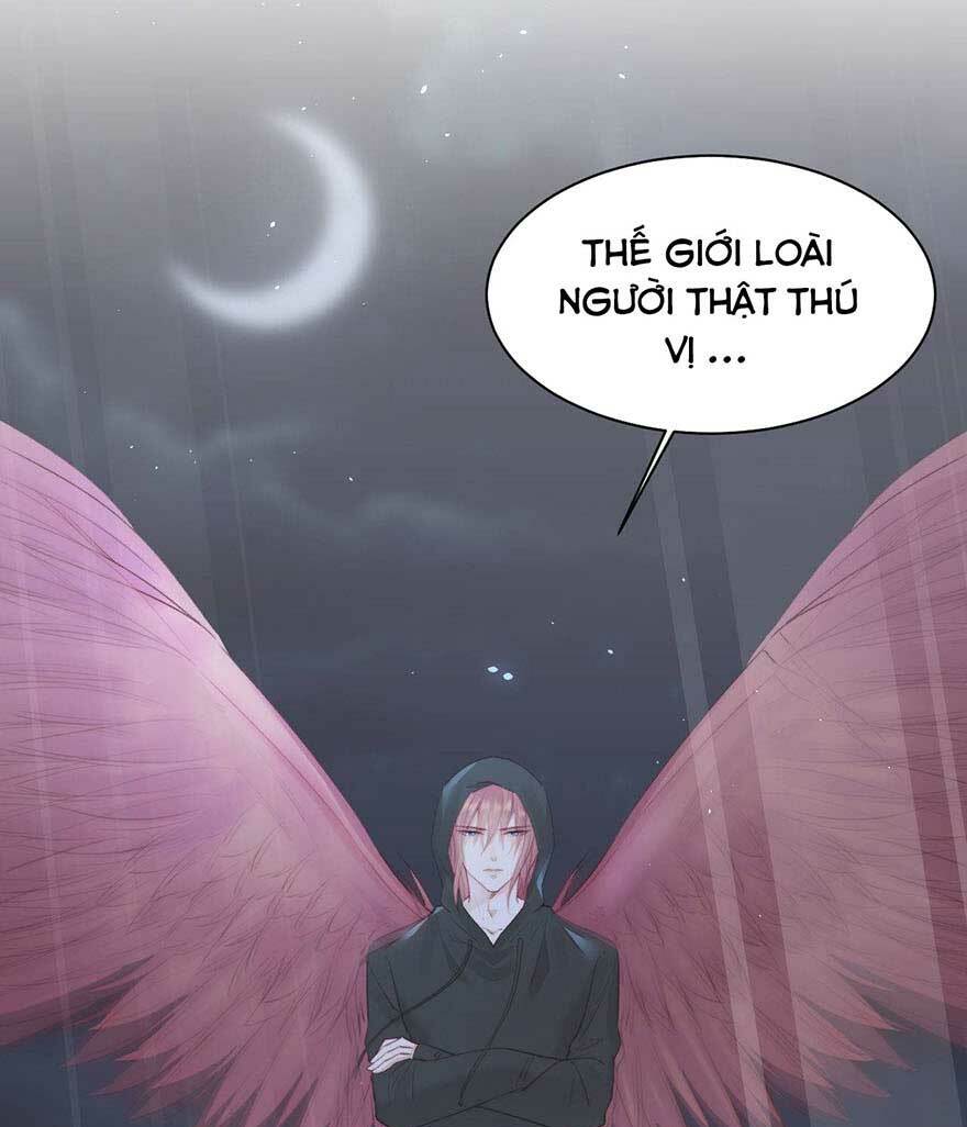 triều tây, in or out chapter 19.2 5