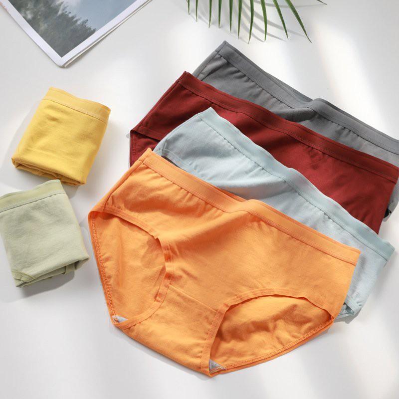 Quần lót nữ cotton mềm mại thoáng mát mùa hè QC/163