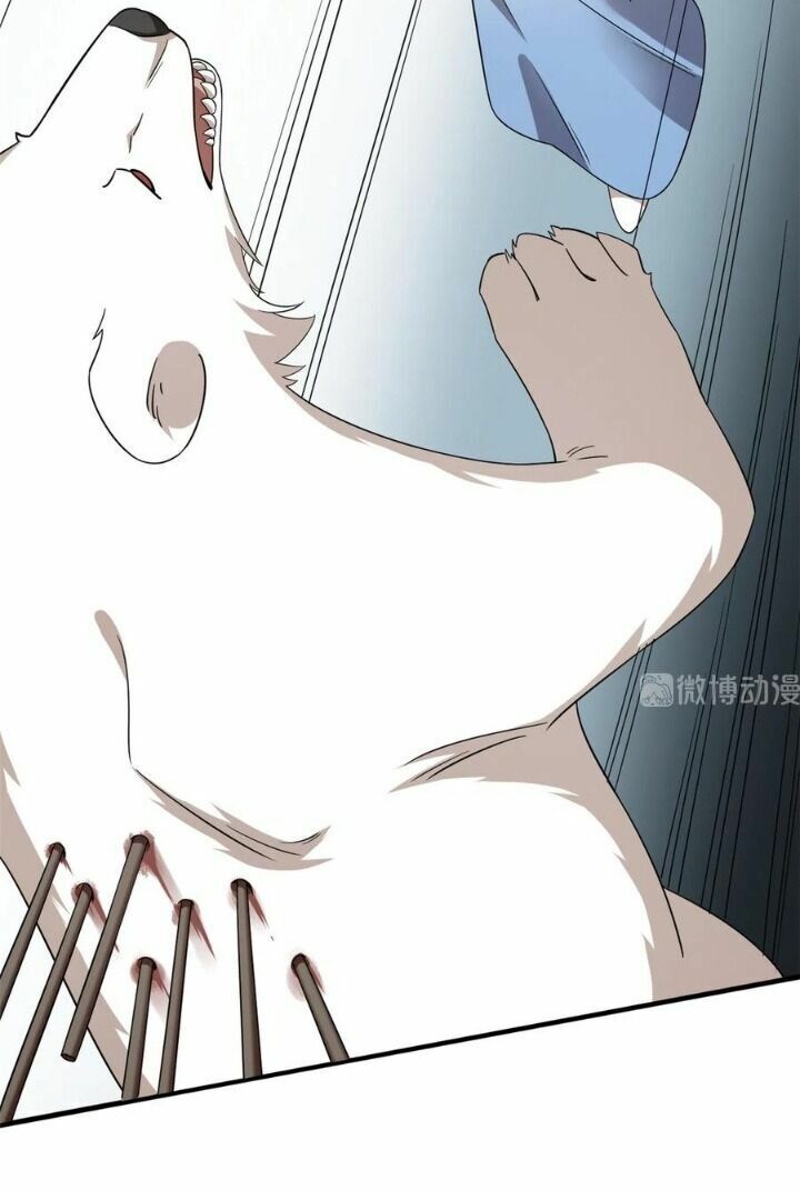 độc bộ thiên hạ: đặc công thần y chapter 254 9