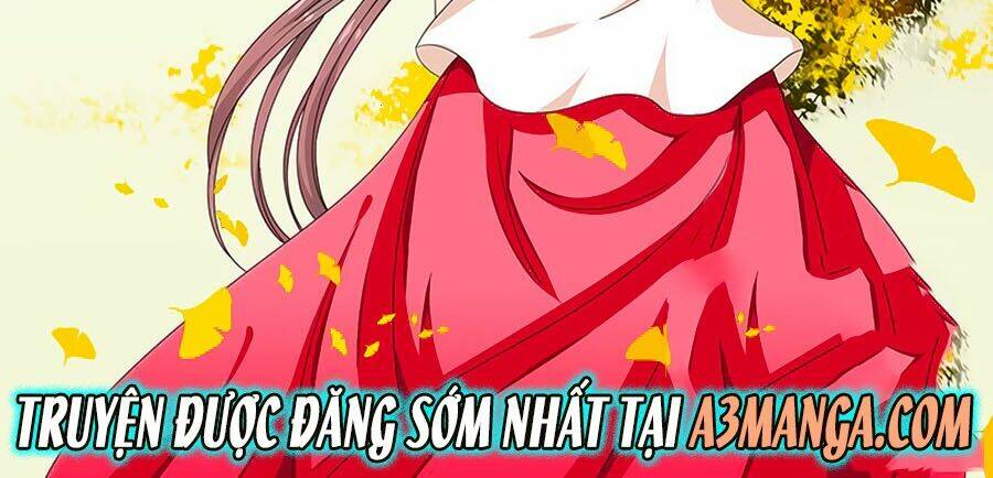 đống phù đã khai quang chapter 33 2