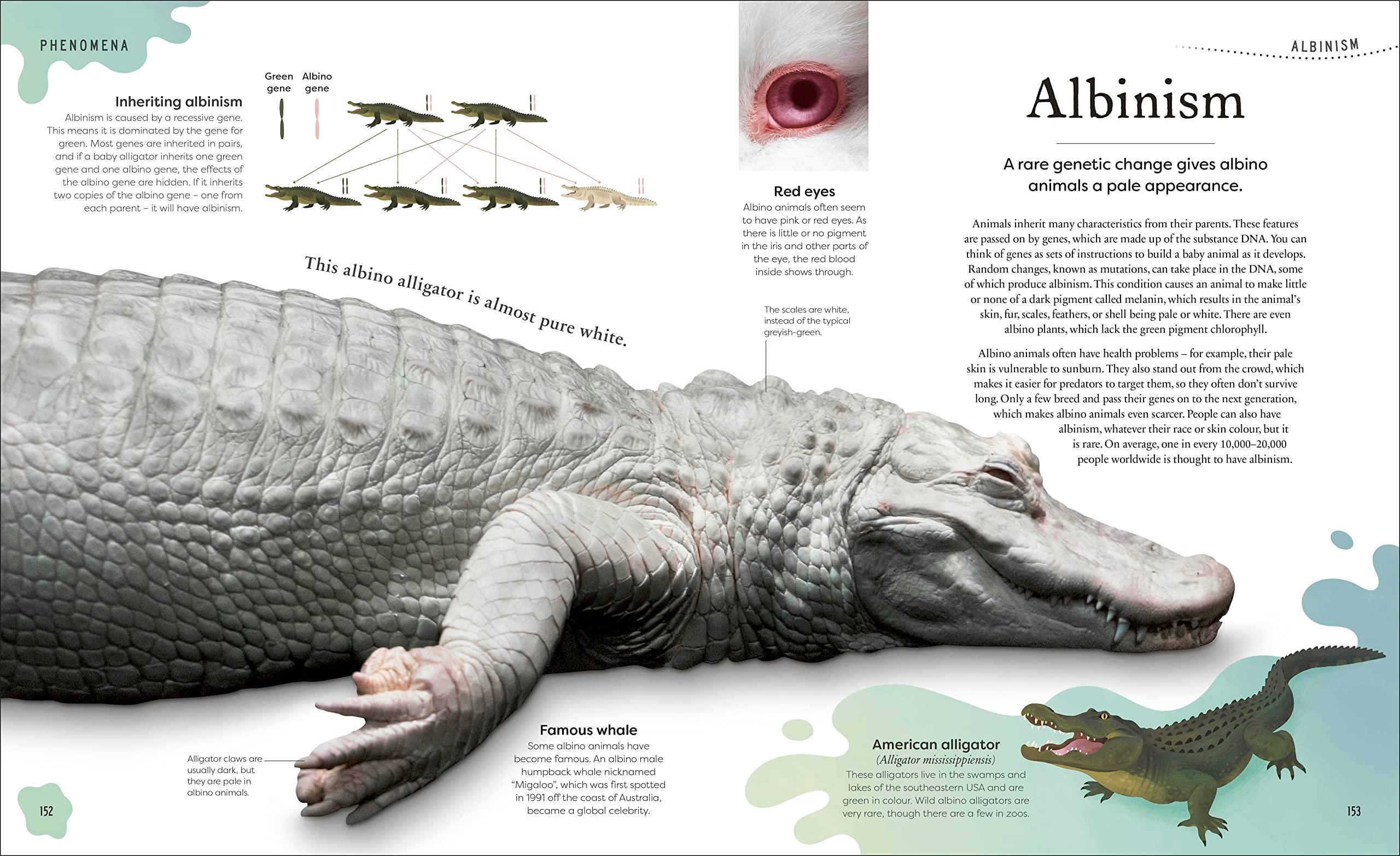 Sách ngoại văn: Weird And Wonderful Nature -Tales Of More Than 100 Unique Animals, Plants, And Phenomena