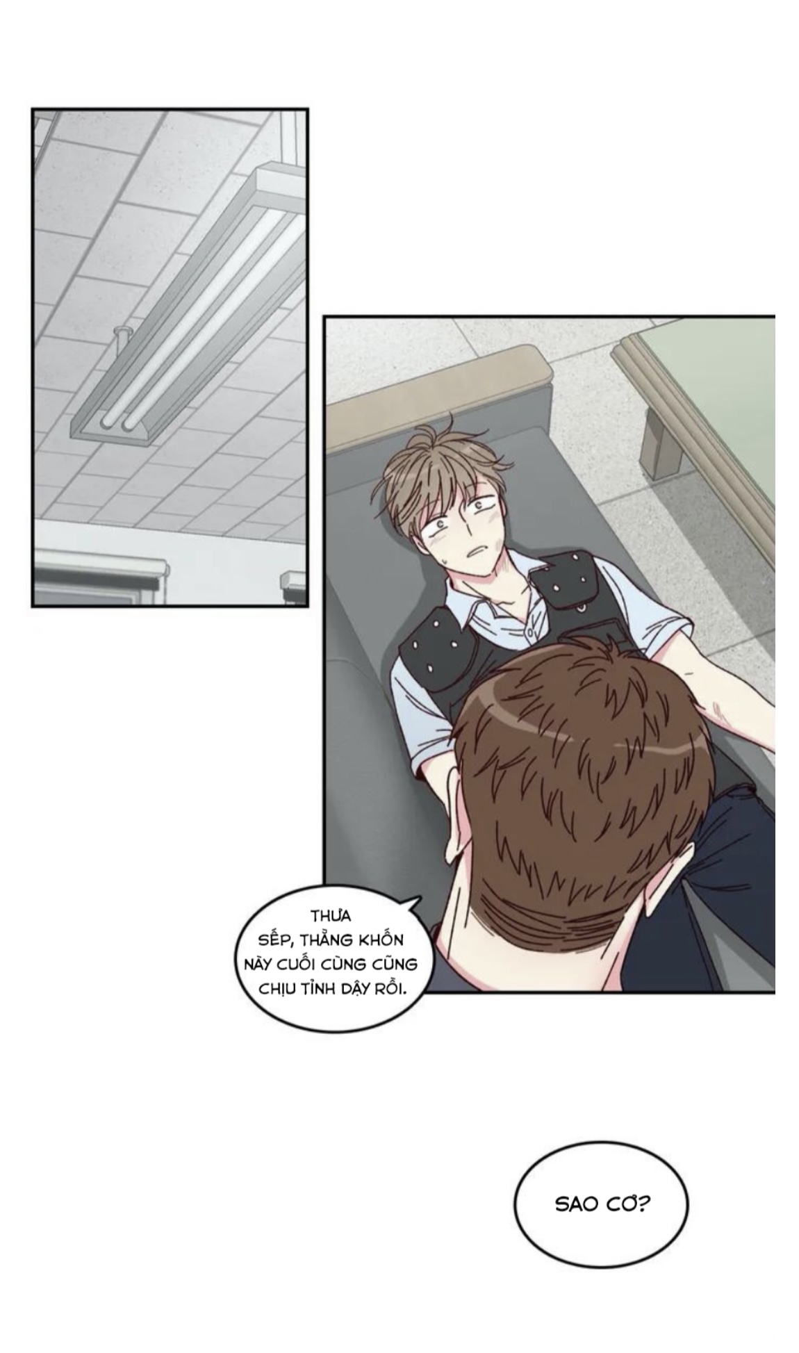 món tráng miệng của sếp tổng chapter 1 15