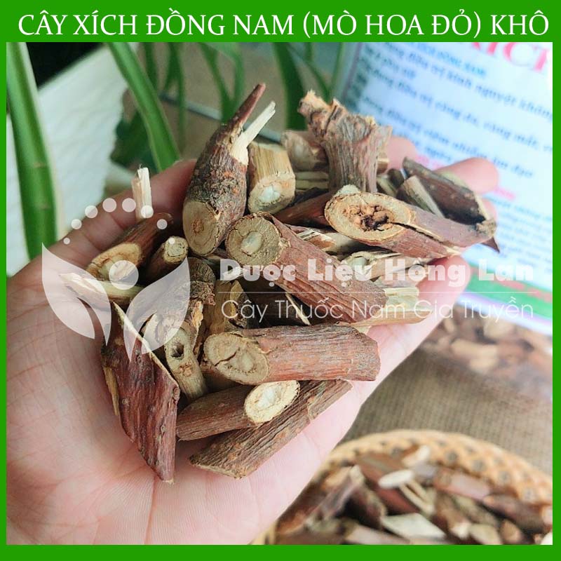 500gram Cây Xích Đồng Nam ( Mò Hoa Đỏ) khô sạch