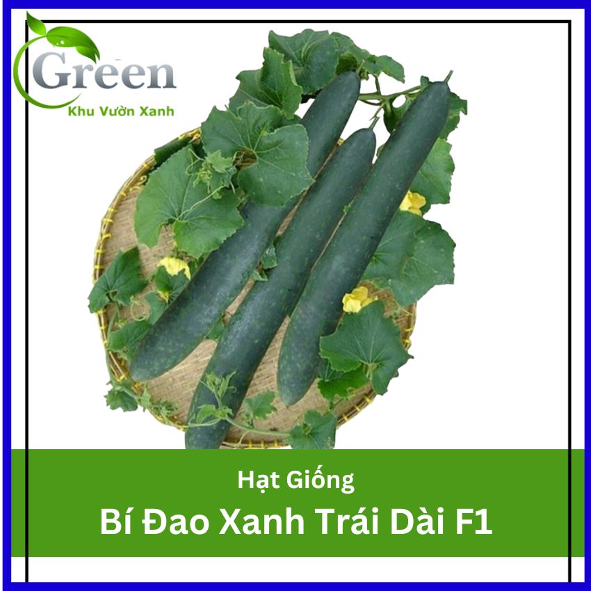 Hạt Giống Bí Đao Xanh Trái Dài F1 JAVA