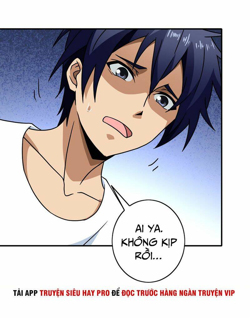 hộ hoa cao thủ tại đô thị chapter 135 12