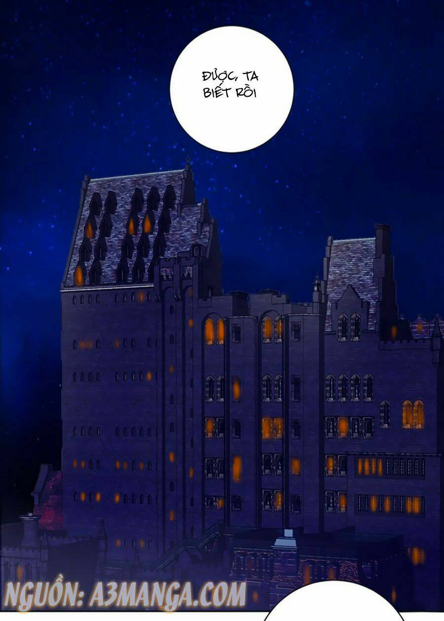 người yêu khát máu của tôi chapter 37 40