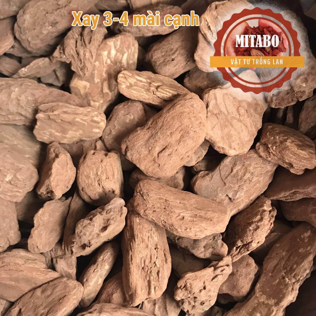 5kg vỏ thông kích thước 3-4cm mài cạnh tròn đẹp