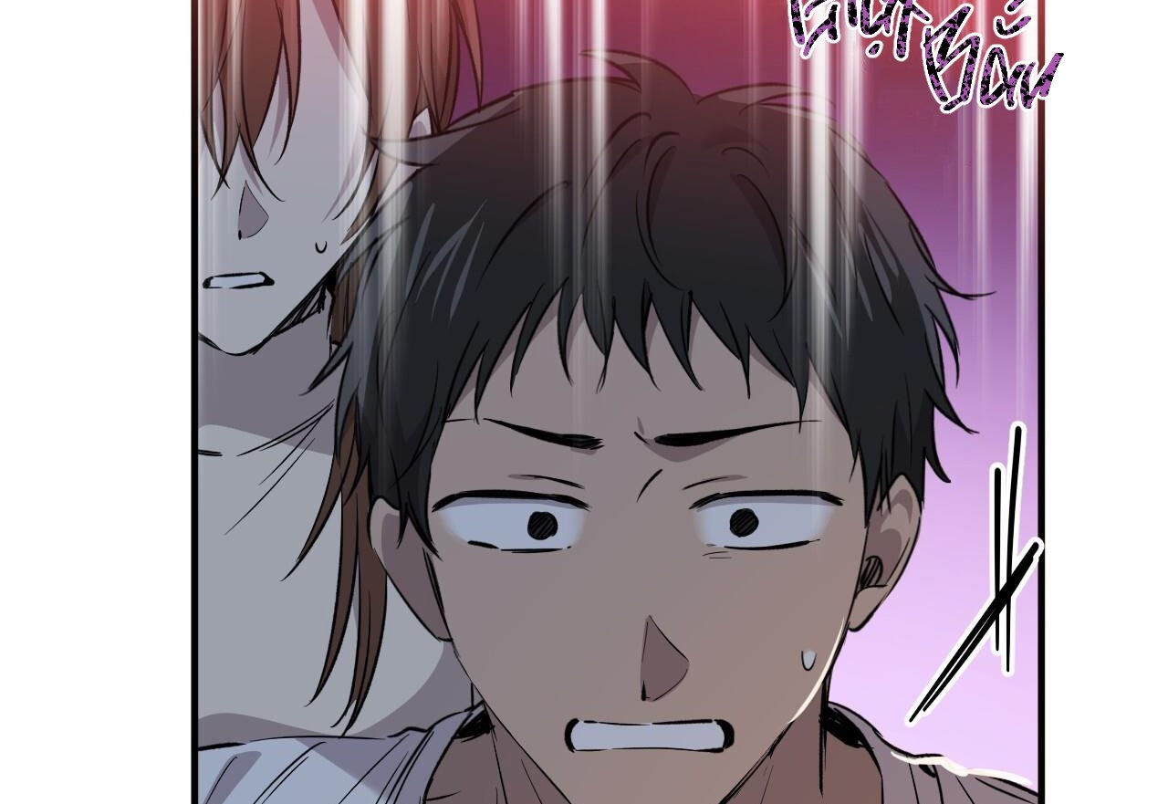 những chú thỏ của hapypy chapter 59 79