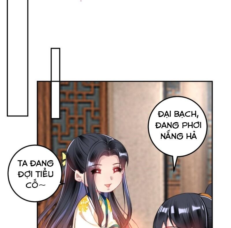 vương gia, áo lót của ngươi rơi mất rồi chapter 62 17