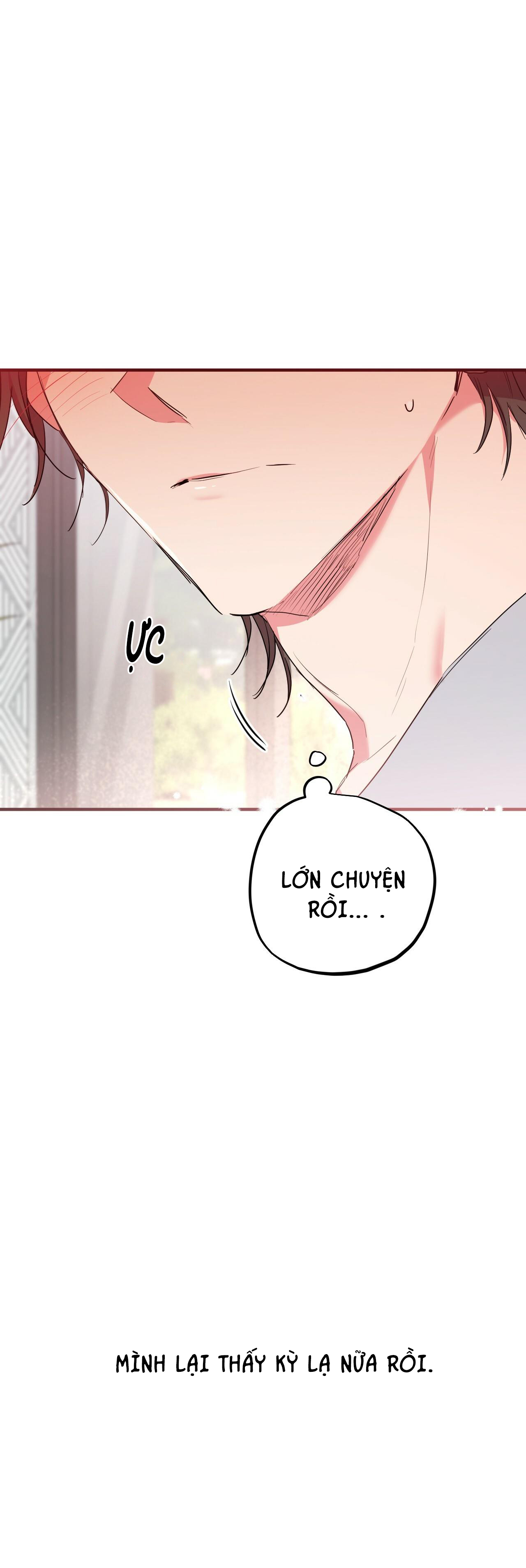 những chú thỏ của hapypy chapter 16 7